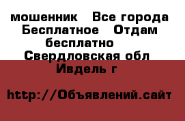мошенник - Все города Бесплатное » Отдам бесплатно   . Свердловская обл.,Ивдель г.